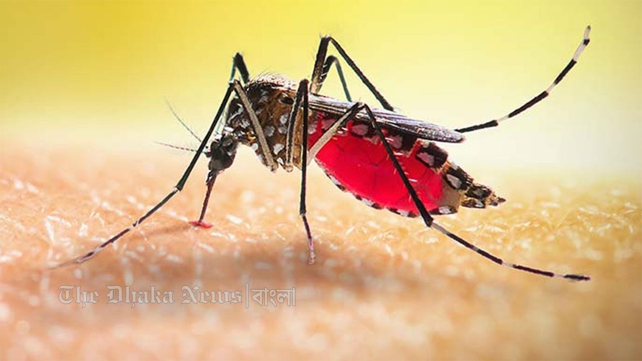 ডেঙ্গুতে আক্রান্ত হয়ে হাসপাতালে ২৩৪ জন