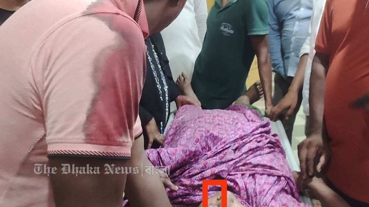 ঘরে ঢুকে আ লীগ নেতার মাকে কুপিয়ে স্বর্ণালংকার লুট