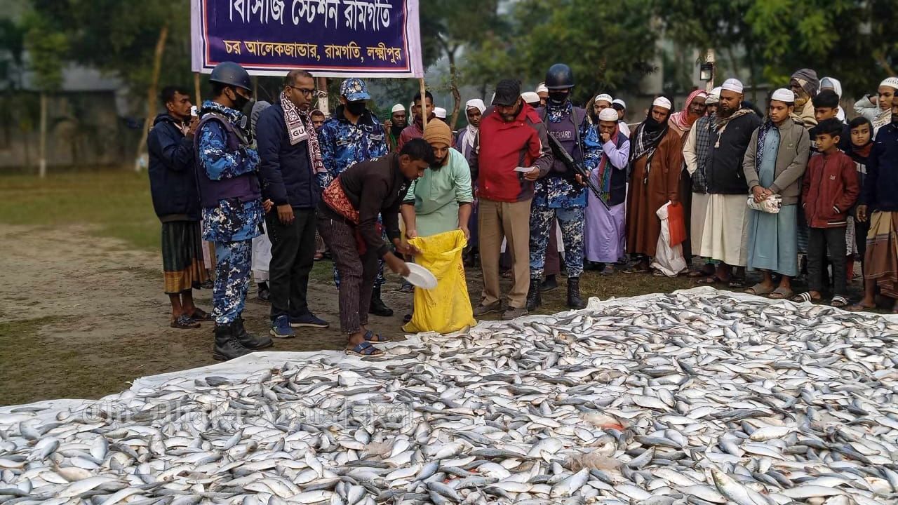 রামগতিতে কোর্সগারের বিশেষ অভিযানে বিপুল পরিমাণ জাটকা উদ্ধার 