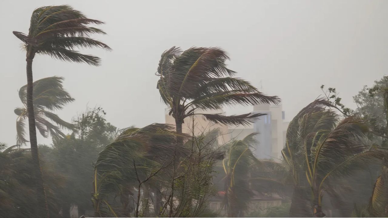চান্দিনায় অগ্নিকাণ্ডে ক্ষতিগ্রস্তদের আর্থিক সহায়তা প্রদান