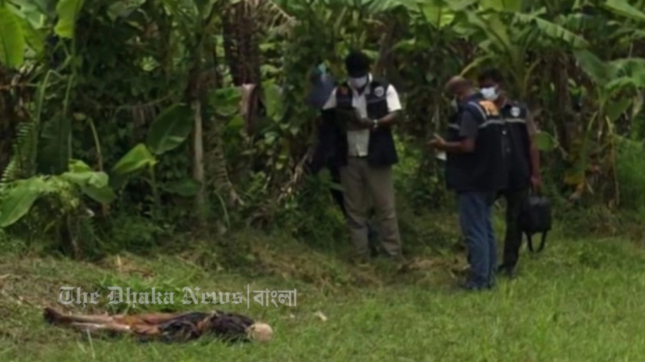 চাঁদপুরে কলাবাগানে মিলল নারীর অর্ধগলিত মরদেহ