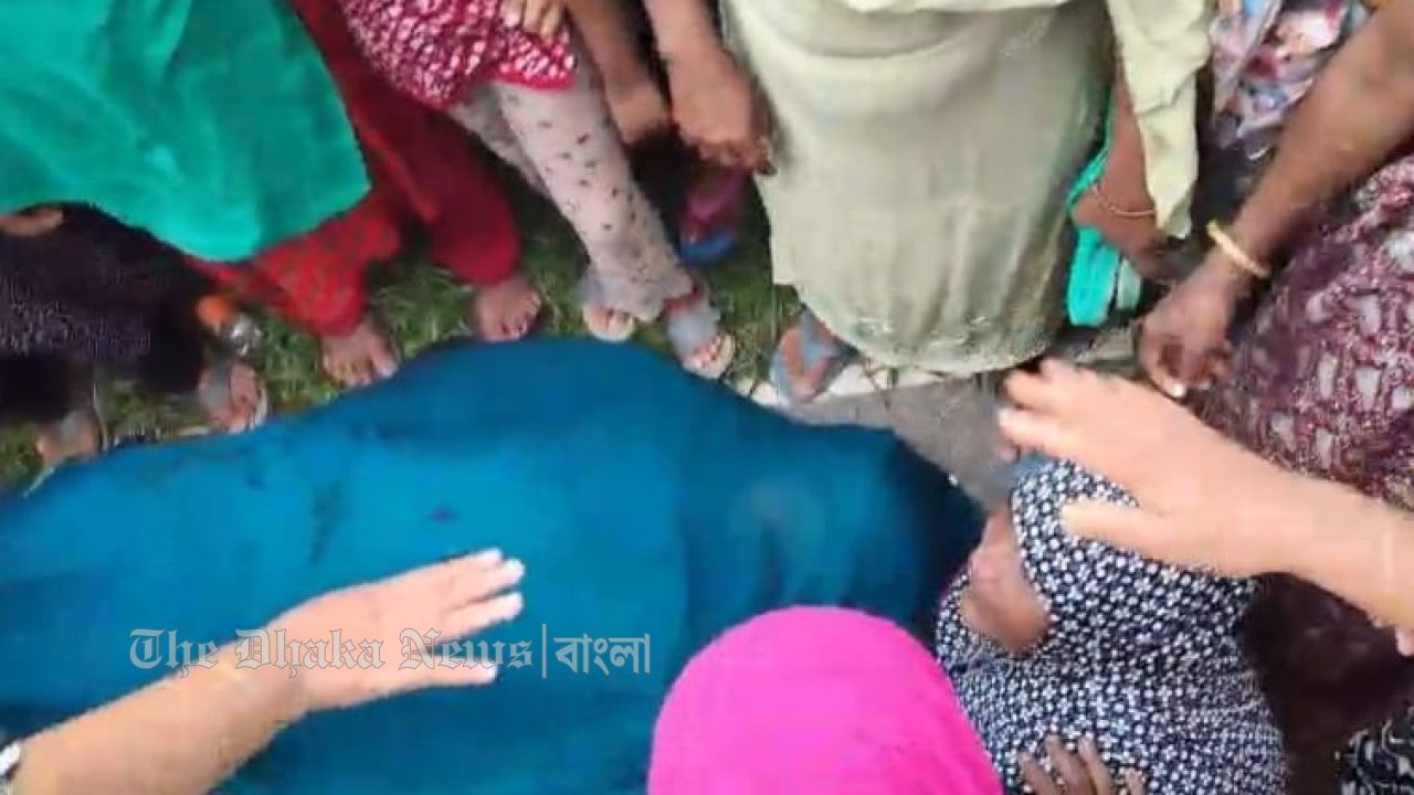 প্রবাসী ছেলের জন্য ওষুধ পাঠাতে এসে সড়কে প্রাণ গেল মায়ের