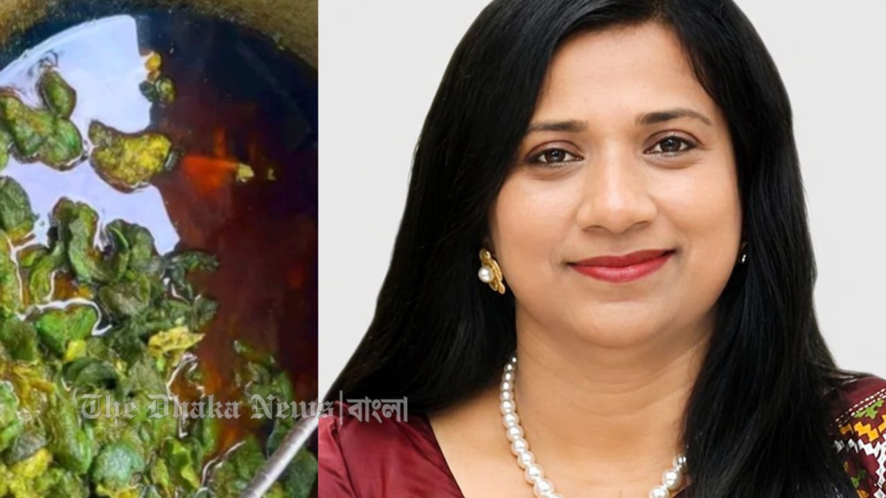 রান্নার পর মাংস সবুজ, কী বলছেন বাকৃবির খাদ্য নিরাপত্তা বিশেষজ্ঞ?