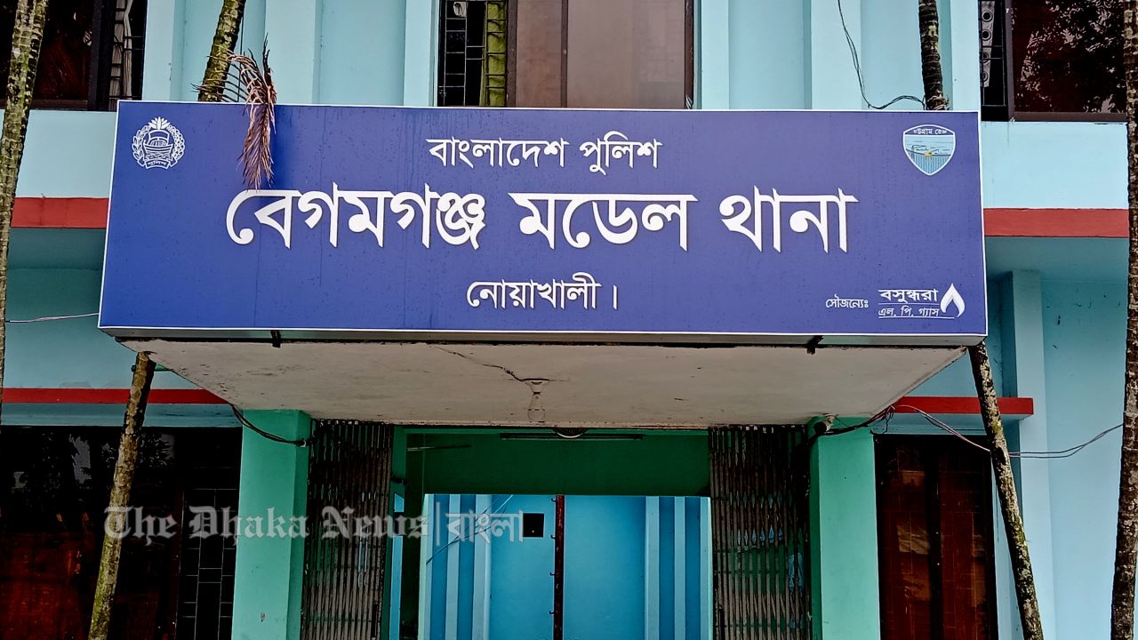 ঘুমের ব্যাঘাত করায় নবজাতককে হত্যা করল মা